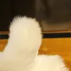 kawaii 강아지 시뮬레이션 인형 부드러운 몰타 개 봉제 장난감 귀여운 애완 동물 동물 베개 인형 선물 웨딩 데코 38x14x15cm DY50533 자고