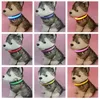 Nylon LED Hundehalsband USB Wiederaufladbare Nacht Pet Flashing Sicherheit Nachtlicht Hund Katze Kragen Led USB Luminous Kleine Große Hunde Halsbänder