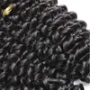 100 Grade 11A Brasilianische Haarscheuchen natürliche Farbverlängerungen 3pcslot Curly Bündel Julienchina Bellahair6397647