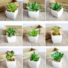 Multi Styles Artificial Plants With Vase Bonsai Tropical Cactus Fake Succulent Potted Office Home Decorative Flower Pots