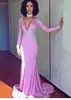 2018 Pink Evening Dresses Deep V-Neck Long Sleeves Prom Gowns Back Zipper Sheath Sweep Train Custom Made Formal Party Gowns With Applique