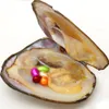 2018 vacúu embalado pérola de águas freshasters ostras com 5 pçsaaa grau 6-8mm # 21 pérolas rosa naturais
