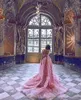 Robes de soirée de forme sirène rose de luxe avec traîne détachable dentelle appliquée robes de bal formelles robe de soirée de charme sur mesure