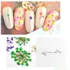2017 Nieuwe 12 kleuren 3d echte gedroogde bloemen Decor voor uv gel nail art decor ontwerp diy tips manicure ornamenten9663024
