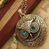 Kolye Kolye Antik Bronz Mavi Göz Baykuş Locket Retro Uzun Zincirler Kolye Kolye