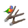 1 szt. Parrot drewniana stacja gałęzi chomika Dwóch punktów drzewo widelc smok kota wiewiórka