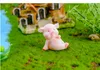 1 шт Cute Pink Pig Свиньи Китай Модель Статуя Фигурка Crafts Рисунок орнамента Миниатюрные девушки Главная Украшение номера