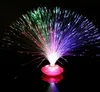 Décorations de fête Fibre Optique Lampe Lumière Vacances Mariage Fibre Optique LED Festif Noël Coloré clignotant étoilé brillant fleur de fibre de gemme