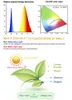 フルスペクトルLED成長ライトUSB LEDストリップライト0.5M 1M 2M 2835チップLEDフィトの水耕植物の成長
