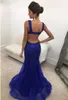 Luxury Beaded Crystal Mermaid Prom Dresses Spaghetti Strps Long 2019 Vestidos de Fiesta Largos Elegantes de Gala Open Back Party Dress