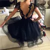 Little Black Prom Klänningar för Graduation Beaded Lace Short Party Gowns 2019 Cocktail Dress Scoop Backless Homecoming Dresses