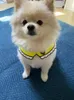 Аксессуары для домашних животных Pet Bibs Cat Bowtie Dog Bandana Pet Saceates Аксессуары для собак Scarf Pet Products Mascotas Perros Accesorios