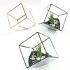 Cubo moderno Cubo incline al succulento terrestre geometrica di vetro geometrico per il muschio di felce custodia da fiori Contenitore Black Gold