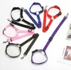 Universal Practical Dog Cat Pet Safety Adjustable Car seat Belt Harness Leash Travel Clip Strap Lead Pet Car Safety Belt