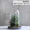創造的な苔マイクロ景観エコボトルシミュレーション鉢植えのデスクトップミニ盆栽オフィスグリーンプラント屋内小植物