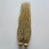 Mongolian Afro Kinky Curly Hair Weave 2pcs 4B 4C Kinky Curly Hair Extension Weave Human Hair Bundles