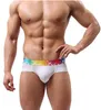 Herren Sexy Unterwäsche Modal Atmungsaktives Mesh Low Rise Rainbow Belt Boxershorts Shotpants