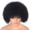 13x4 Afro Curly Lace Bront Bront Precked Plucked Malaysian Hair البشري 9 بوصة قصيرة شعر مستعار للنساء السود