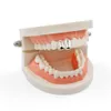 18k banhado a ouro ambiental dentes de cobre cintas simples hiphop 2 grillz boca dental fang churrasqueiras dente tampa cosplay vampire rapper jóias