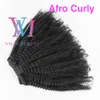 100% obearbetad 100 g 120g 140g 160g Afro Kinky Curly Straight 4a 4b 4c Clip in Ins Virgin Remy Human Hair Extensions