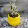 Início Jardim Plastic Flowerpot Mini Suculenta Planter Pot Flor Água Saving E Seca Resistência Herb Pot LJJA3198-1