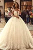 2021 Vintage Lace Ball Gown Wedding Dresses Sexy Sheer Long Sleeve Appliques Bridal Gowns Illusion Back Sweep Train Vestidos De Novia AL5085