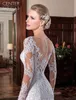 Mermaid Wedding Dress Sheer Neck Lace Appliques Long Sleeves Wedding Dress Court Train Illusion Bridal Gowns Vestidos De Noiva