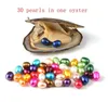 Oval Oyster Pearl 6-7mmミックス15色新鮮な水天然真珠のギフトDIY緩い装飾真空包装卸売真珠カキ