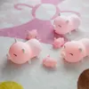 piggy lights.