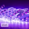 33ft الأشعة فوق البنفسجية قطاع الضوء الأسود 12V blacklight مرنة مع 600 وحدة مصباح الأشعة فوق البنفسجية الخرز 10M الصمام ضوء الشريط الأسود ديكور الخفيفة