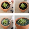 10pcs Small Mini Terracotta Pot Clay Ceramic Pottery Planter Cactus Flower Succulent Nursery Pots Great C19041901