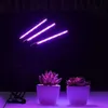 LED GROW LIGHT 5V USB LED-lampor Full Spectrum Phyto Lampa för Inomhus Vegetabilisk Blommor Fitolampy