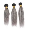 Zwei Ton 1b Grau Ombre Menschliches Haar Weaves 3Pcs / Lot Brasilianisches Jungfrau-Menschenhaar-Erweiterungs-Splitter-Grau bündelt Günstigen Preis