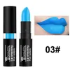 12 cores Matte Lipstick Hidratante Lip Gloss Waterproof Maquiagem Batom Nude Lip Balm J1010