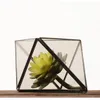 Elegante octaëder luchtplant terrarium geometrisch glas sappige planter rhomb zwart messing thee -lamp kandelaar bloemenvaas