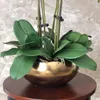 1 Set Orchidés de haute qualité Affrecteur fleuri Flower Table Flower Pas de vase Artificial Flower Home Office Decoration9744978