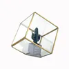 Cube incliné moderne succulent terrarium géométrique en verre de verre pour fouetter