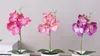 Juego de 20 flores de orquídeas artificiales en maceta de phalaenopsis + hoja de espuma + jarrón de plástico, flor de simulación, decoración navideña para el hogar, regalo de bonsái