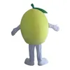 2019 korting fabriek verkoop fruit grapefruit kostuum outfits volwassen vrouwen mannen cartoon mascotte kostuum voor carnaval festival commerciële activiteit