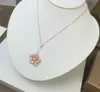 Designer kettingen sieraden Kubieke Zirkoon Wit Vergulde Bloem kettingen vrouwen Bruiloft Gift 3 Colores336F