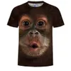 Мужские футболки с 3D-принтом с изображением животных и обезьян с коротким рукавом, с забавным дизайном, повседневные топы, майки, мужская футболка с Хэллоуин
