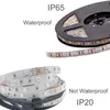 Wasserdichte Streifen IP65 SMD 5050 RGB-Leuchten LED-Streifen 60 LEDs M 44Key IR-Fernbedienung 12V 5A Stromversorgung Crestech