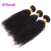 Encaracolado Afro Kinky Bundles Com Fechamento mongol kinky cabelo encaracolado barato cabelo humano weave bundles Remy Feixes de Cabelo Humano Com Fecho