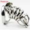 Happygo Stainless Steel Stealth Lock Male Chastity Device with Urethral Catheter,Cock Cage,virginity Belt,Penis Ring,A276-1 D19011105