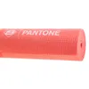 Pantone SPK8882 PVC Yoga Mat Thickness 4mm for Senior Enthusiasts