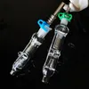 Hot Sale Nector Collector Set Mini Glass Water Pipe With 10mm 14mm Titanium Nail Dab Straw Oil Rigs Nector Collectors Small Bong NC12