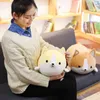 Bemenset Cute Corgi Dog Plush Toy Stuffed Soft Animal Cartoon Pillow Lovely Christmas Gift for Kids Kawaii Valentine Present3294223
