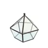 Pentagon Shape Succulent Display Planter med Swing Lock Modern Geometric Glass Terrarium konstnärlig smycken förvaringslåda