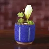 Vaso de flores de cerâmica rachado, vaso de flores colorido fofo para decoração de mesa, vasos de plantas em carne, mini plantadores, pote ted