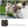 Pet Supply Mesh-Hundegeschirr-Leine-Set, neues Hundezubehör, winddicht, atmungsaktiv, einfaches Hundegeschirr, 4 Farben und 5 Größen
